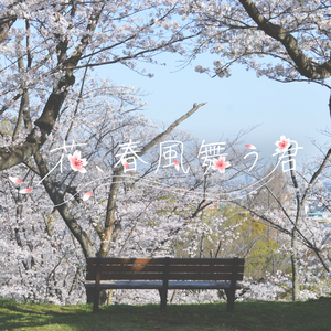 花、春風舞う君