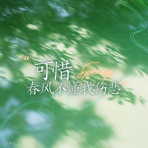 可惜春风不懂我伤悲（深情版）