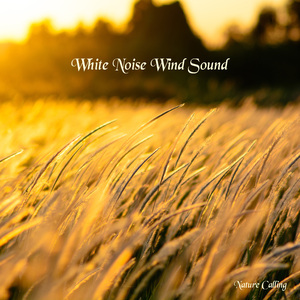 백색소음 바람소리
