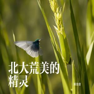 北大荒美的精灵