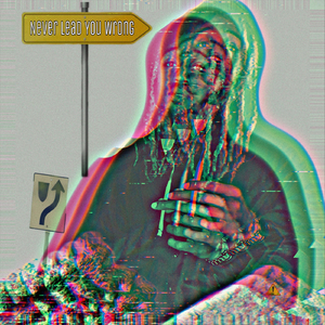 Never Lead You Wrong