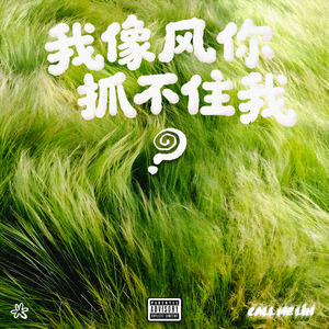 我像风你抓不住我