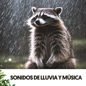 Balada encantadora de lluvia