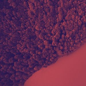 一尘不染自然印象数