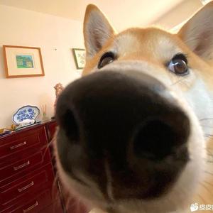 潮汐（Natuarl）（翻自 安苏羽）