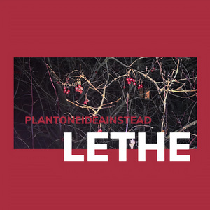 Lethe