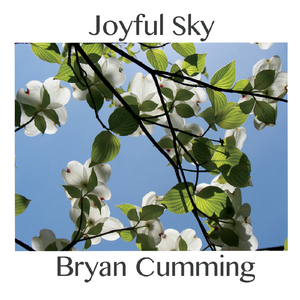 Sailing the Alpha Wave