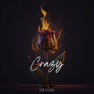 Crazy (Remix)