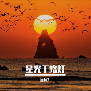 星光与路灯