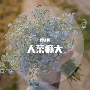 客从岭南来（cover-cifer）