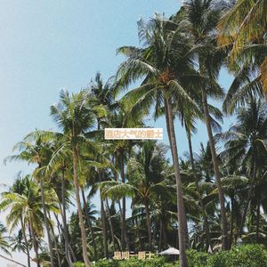 适合旅馆开心的音乐