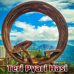 Teri Pyari Hasi