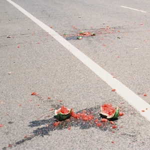 Roadkill