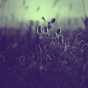 温和下班后按摩梦想