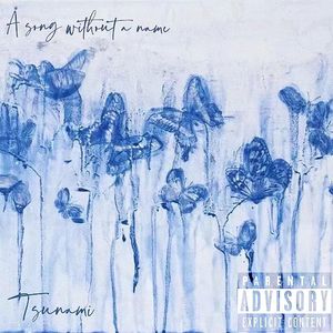 不会有名字的歌