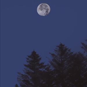 周杰伦三键成曲（改编）