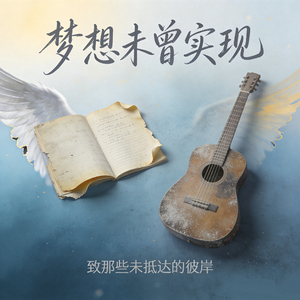 梦想未曾实现