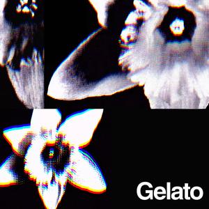 Gelato