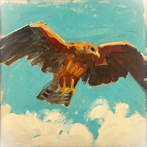 The Falcon (feat. Vinny Marchi)