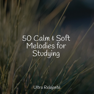 Clouds of Melody