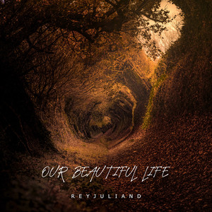 Our Beautiful Life