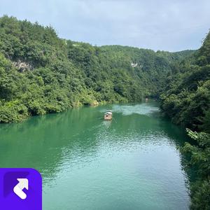 钱与爱之歌 (现场)