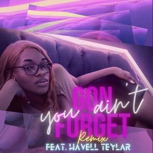 You Ain't Gon Forget (feat. Havell Teylar) (Remix)