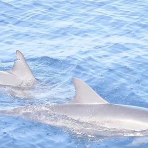 你能感受到我的心吗