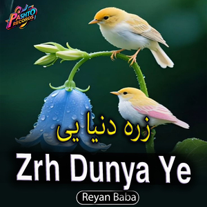 Zrh Dunya Ye