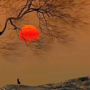 山里人的生活故事 舞曲版