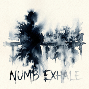 Numb From The Inside