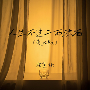 人生不过二两浊酒(走心版)