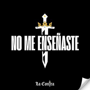 No Me Enseñaste