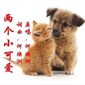 两个小可爱（何焕洲原唱)
