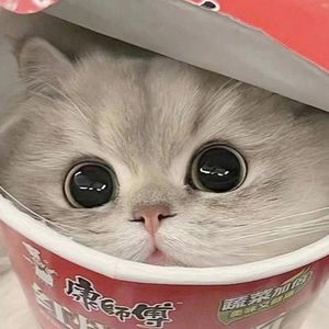 打夜