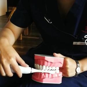 刷牙歌-（神奇奶爸）