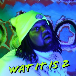 Wat It Is 2