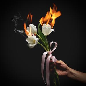 TULIPANES