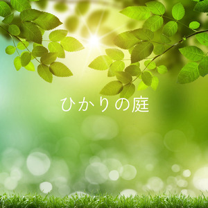 ひかりの庭