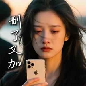 删了又加