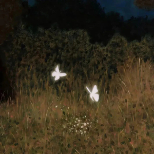 不遗憾《你的婚礼》