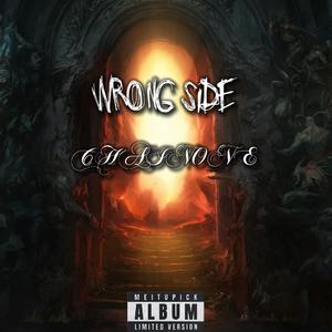 二月一十一日雨