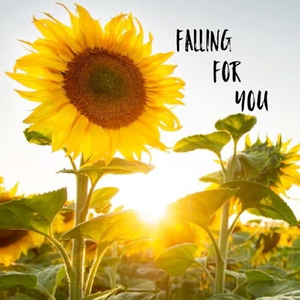 Falling for You