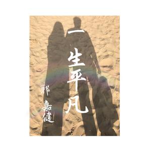一生平凡