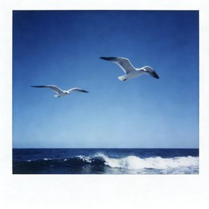 突然明白他的心情