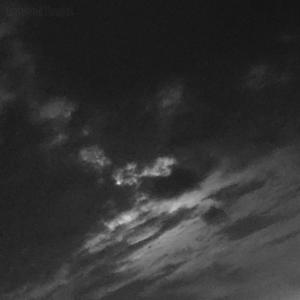 Tayshaun Prince (feat. GallowSaint)