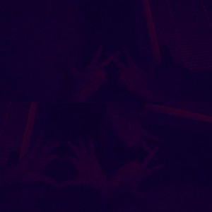 Ribcage