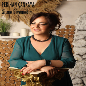 Gitme Diyemedim