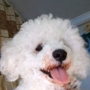 其实我也没想好她叫啥