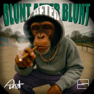 Blunt After Blunt